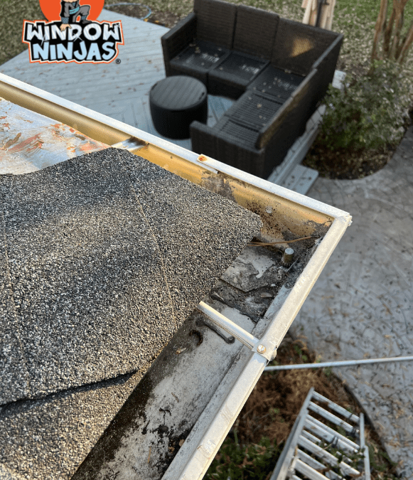 4 Reasons To Clean Your Gutters In The Winter (Wilmington, NC)