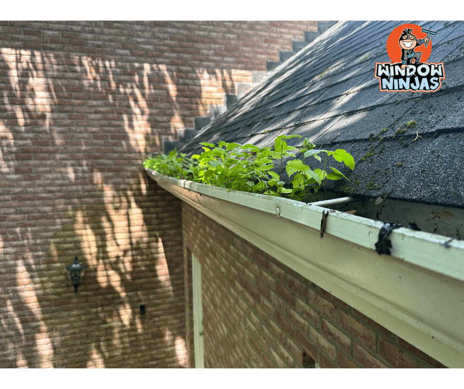 The Cost Effective Solution: Professional vs DIY Gutter Cleaning