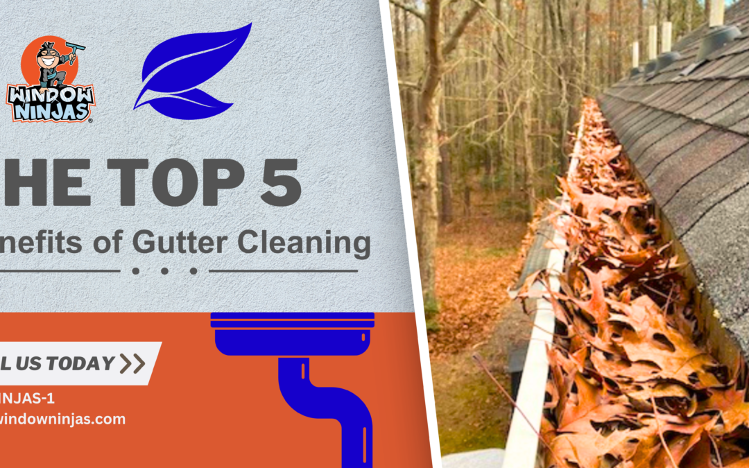 The Top 5 Benefits of Professional Gutter Cleaning in Wilmington