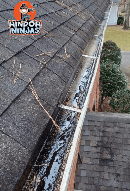 Best Gutter Cleaning Hampton Has To Offer! Window Ninjas